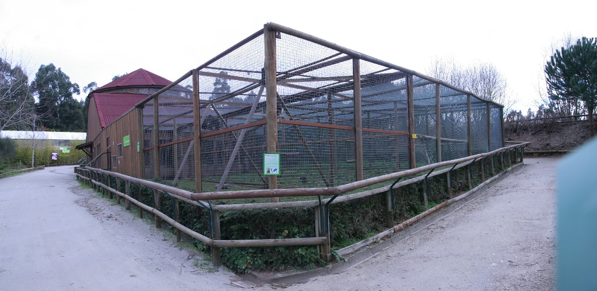 pano2.jpg - Cages de primates
