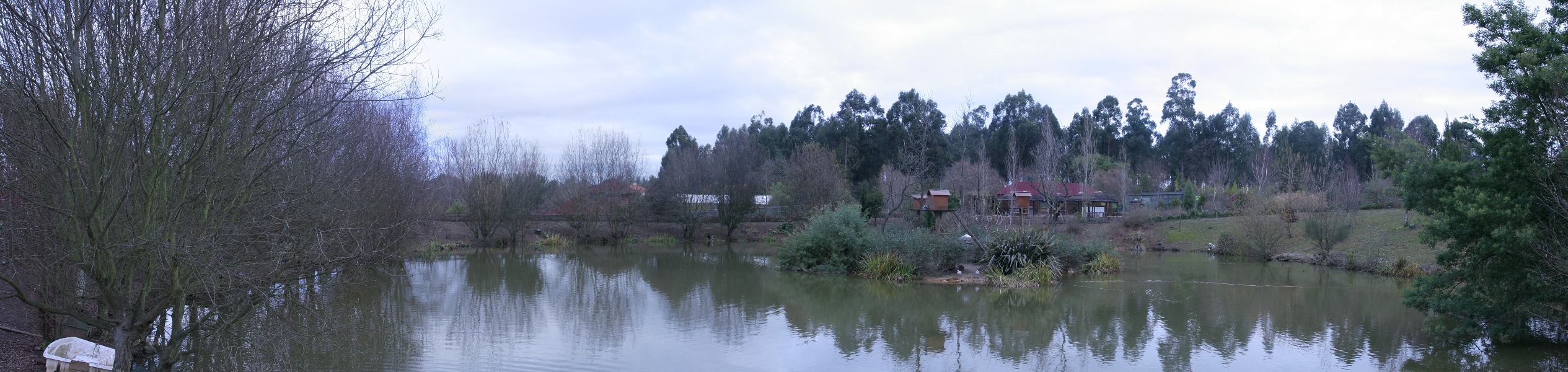 pano4.jpg - Point d'eau au milieu du parc
