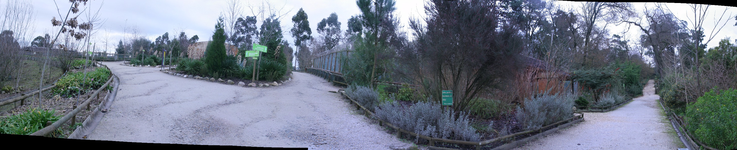 pano5.jpg - Allées, beaucoup de bois
