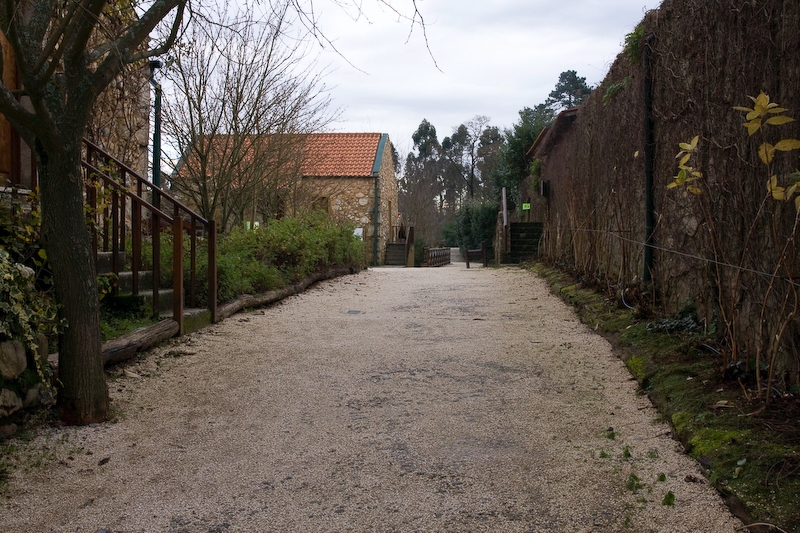 IMG_4925.jpg - Toujours cette impression de mini zoo