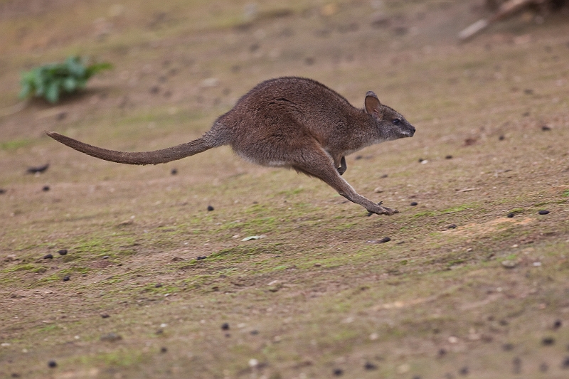 IMG_7915.jpg - ouais des fois faut du bol ..
