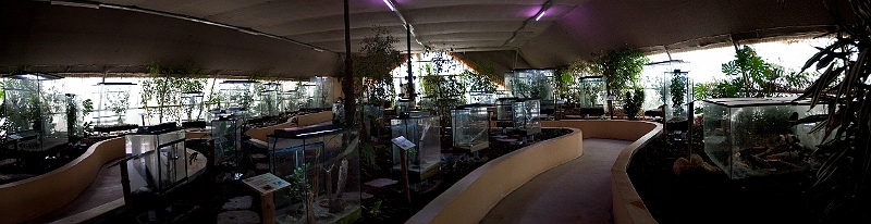 insect.jpg - l'insectarium du parc