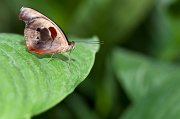 IMG_2911