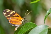 IMG_2934