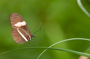 IMG_3025