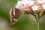 IMG_3071