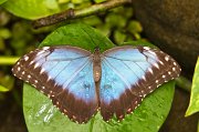 IMG_3108