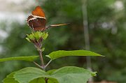 IMG_3141