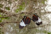 IMG_3150