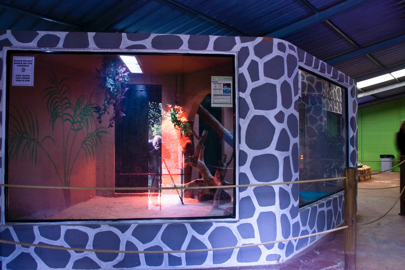 IMG_5017.jpg - uen partie du reptilarium