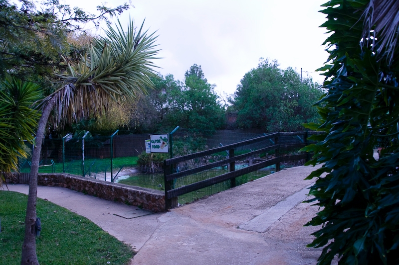 IMG_5019.jpg - enclos à alligator