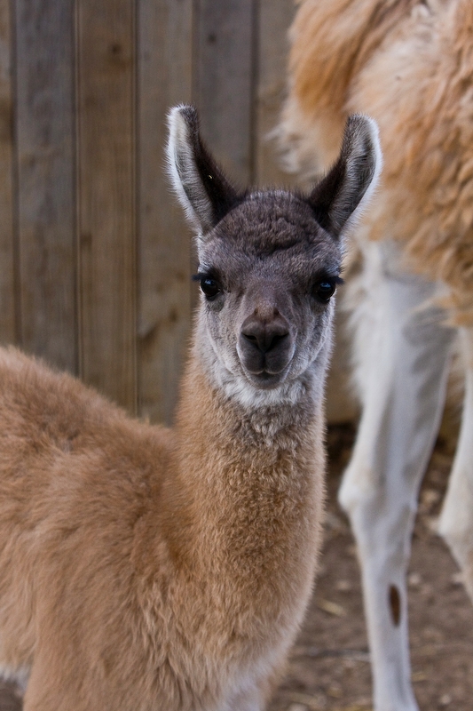 IMG_9541.jpg - un autre