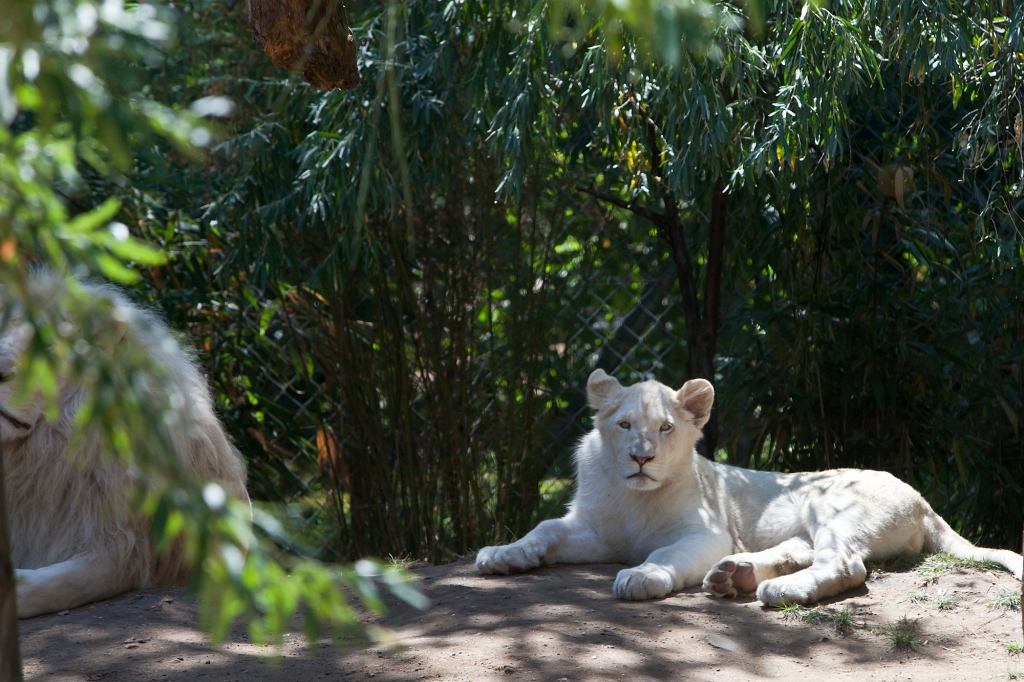IMG_8841.jpg