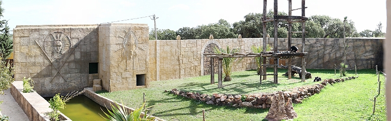 lagosmacaque.jpg - Le nouvel Enclos pour les derniers arrivés.