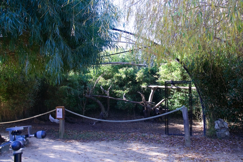 IMG_4520.jpg - une idée de la taille des cages