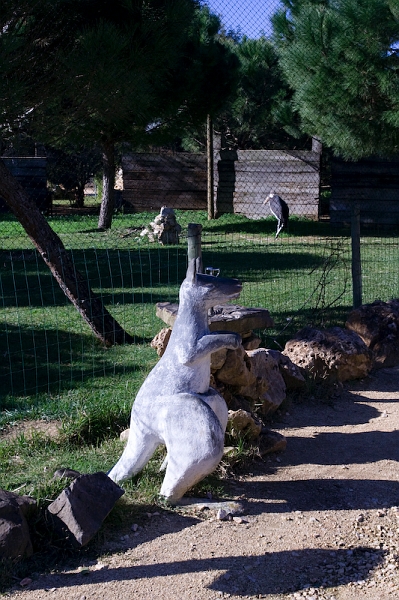 IMG_4701.jpg - Enclos des marabouts