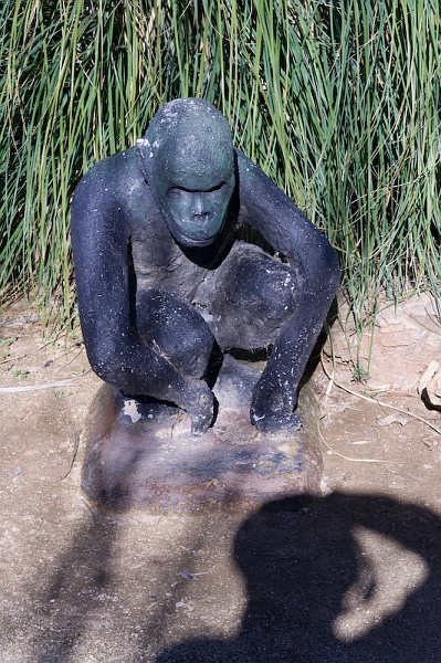 IMG_4858.jpg - des statues qui représentent l'évolution