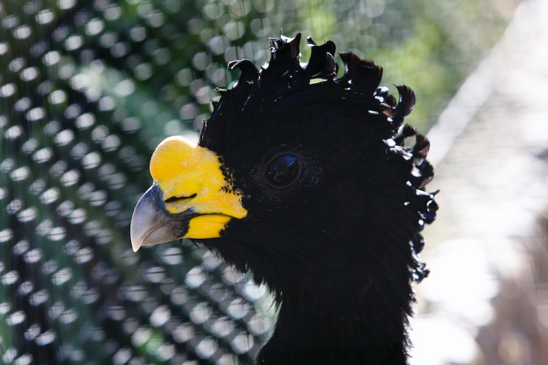 IMG_8558.jpg - Grand Hocco