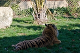 IMG_2468