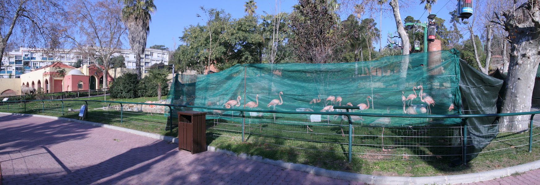 pano12.jpg - Enclos des Flamants ! je n'ai pas compris le truc vert sur une partie. mais ils semblent l'apprécier.