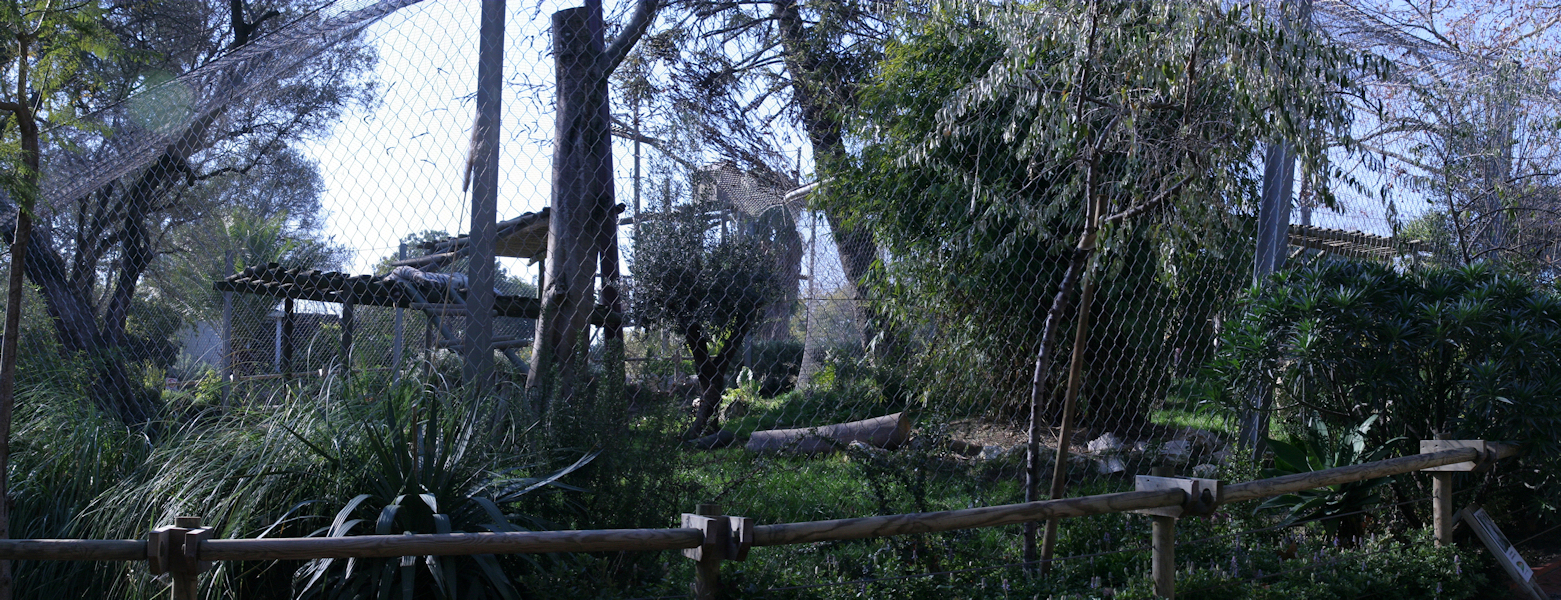 pano13.jpg - enclos du tigre blanc, un peu petit