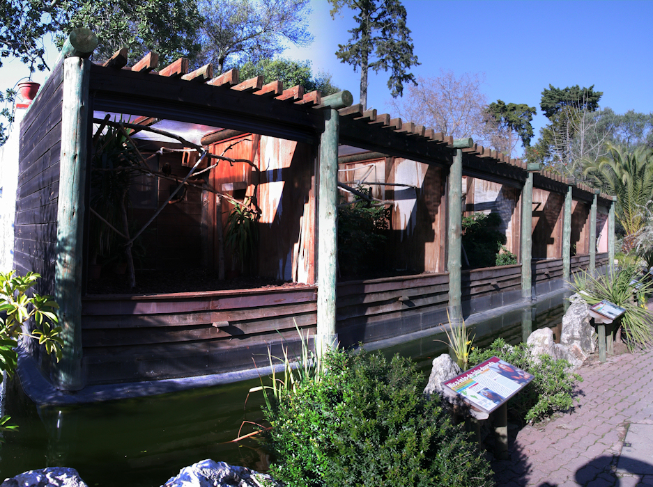 pano20.jpg - petites niches pour petits primates, il n'y a pas de vitres juste un petit cours d'eau