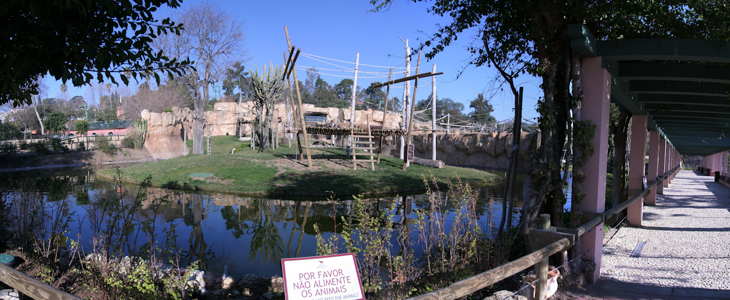 pano25.jpg - Ilot de primates