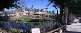 pano25