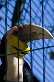 IMG_2798