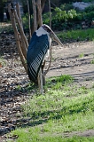 IMG_2959