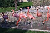 IMG_5257