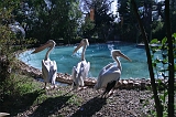 IMG_5537