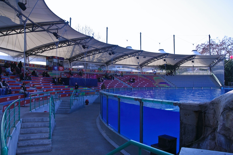 IMG_5683.jpg - arène