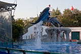 IMG_3690