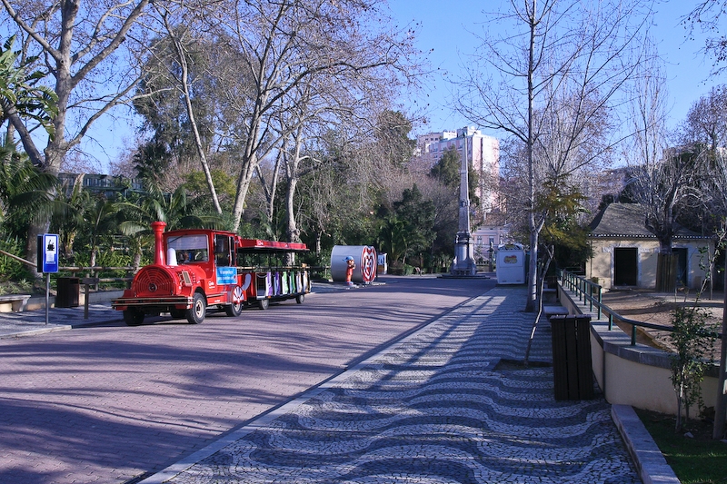 IMG_5055.jpg