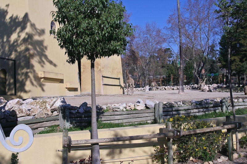 IMG_5216.jpg