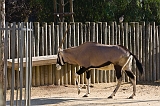 IMG_2678