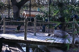 IMG_5657