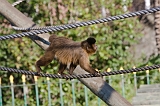 IMG_2973