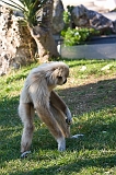 IMG_3434