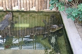 IMG_5150