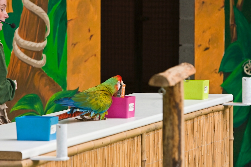 IMG_3726.jpg - tri selectif