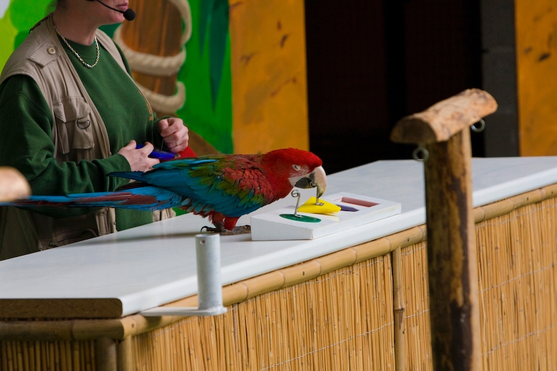 IMG_3764.jpg - un jeu de placement de couleurs dans l'ordre et le désordre