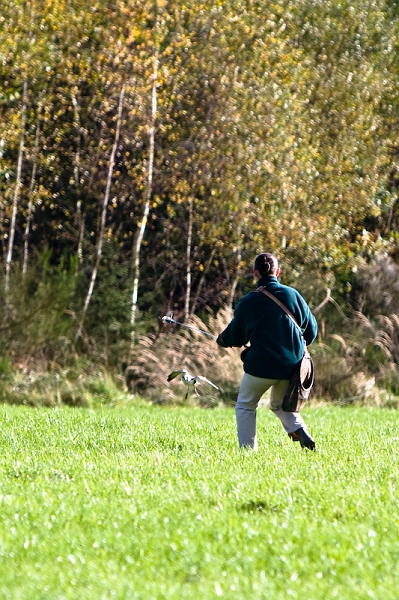 IMG_4308.jpg - oui !!! à une vitesse qui peut atteindre 200 mk j'ai réussi à l'avoir
