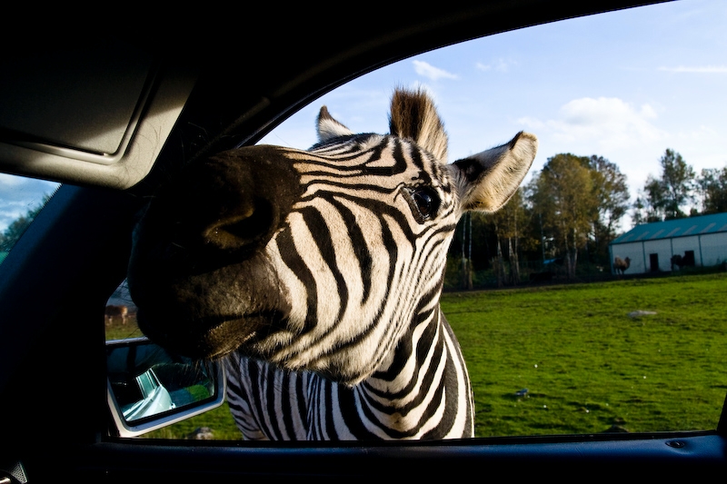 IMG_5289.jpg - visite coté passager