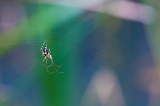 IMG_7594-21