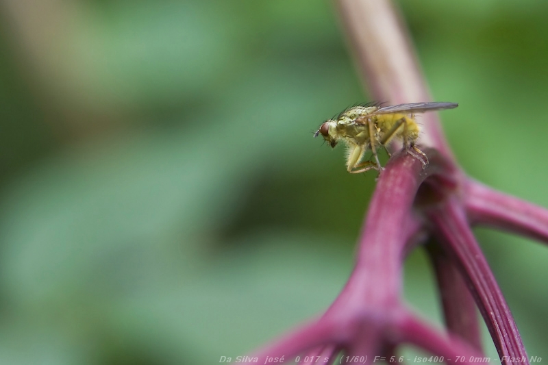 IMG_7628-25.jpg