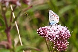 IMG_7813