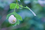 macro06-1