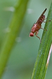 macro06-4